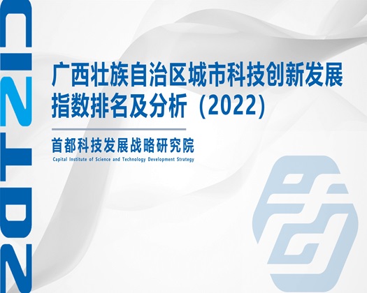 狠狠操啊啊啊好大影视【成果发布】广西壮族自治区城市科技创新发展指数排名及分析（2022）